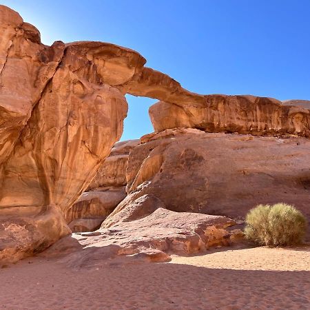 Wadi Rum Tents Eksteriør bilde